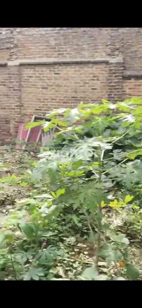 image DIJUAL CEPAT TANAH + BONUS RUMAH – LOKASI STRATEGIS DI PERUM KORPRI (4)