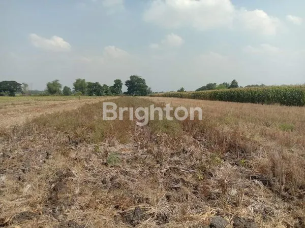 *TANAH TERMURAH DAN STRATEGIS DI DAERAH KESAMBEN, JOMBANG*