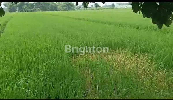 TANAH STRATEGIS, ZONA INDUSTRI, MOJOAGUNG, JOMBANG