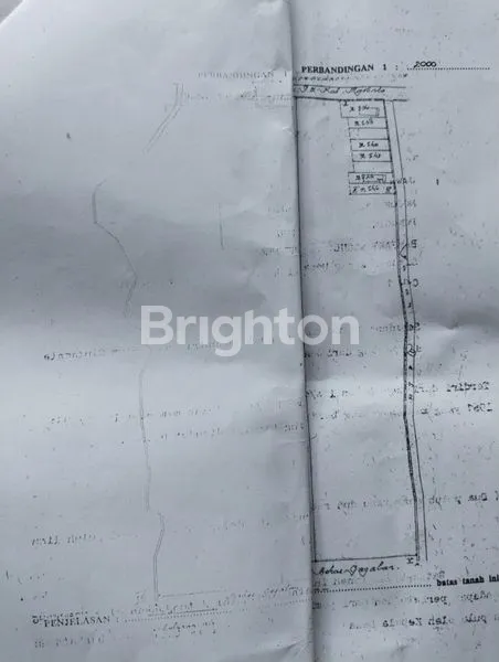 image LUAS  1040 DRIYOREJO 0 JLN DESA (1)