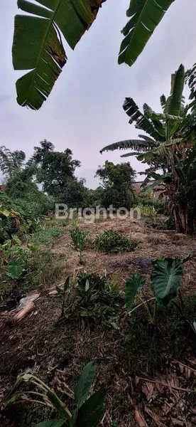 image LUAS  1040 DRIYOREJO 0 JLN DESA (2)