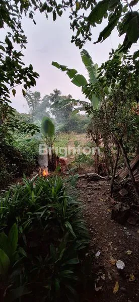 image LUAS  1040 DRIYOREJO 0 JLN DESA (3)