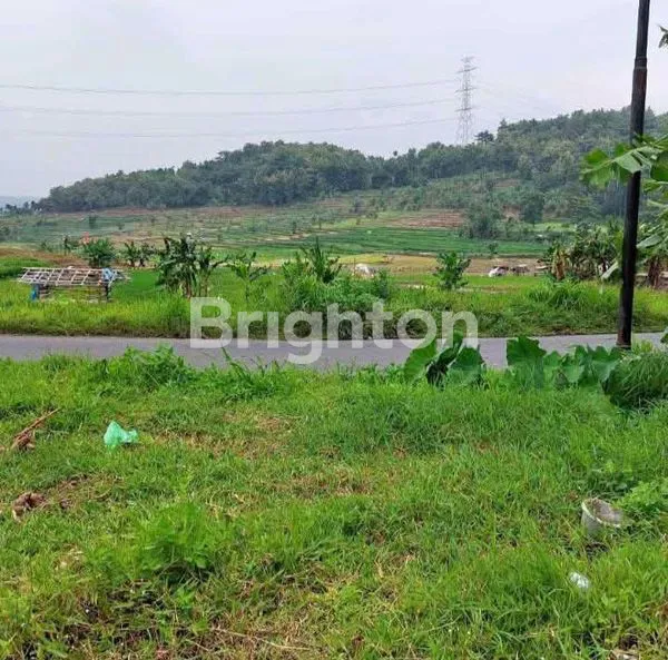 image TANAH LUAS DAERAH LEREP UNGARAN (1)