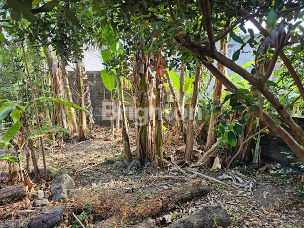 image TANAH DIJUAL DI REJOWINANGUN, KOTAGEDE 4.5 JUTA/METER (4)