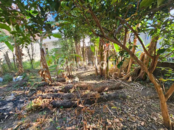 image TANAH DIJUAL DI REJOWINANGUN, KOTAGEDE 4.5 JUTA/METER (1)