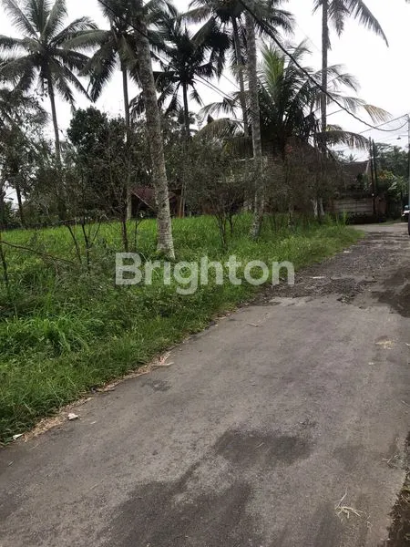 image TANAH AREA UBUD KAWASAN VILLA (3)