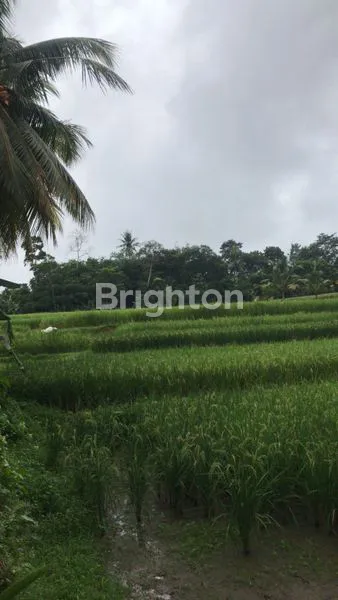 image TANAH AREA UBUD KAWASAN VILLA (5)
