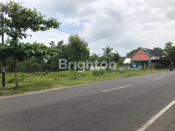 image DIJUAL CEPAT SEBIDANG LAHAN PEKARANGAN SELATAN LANUD GUNUNGKIDUL (7)