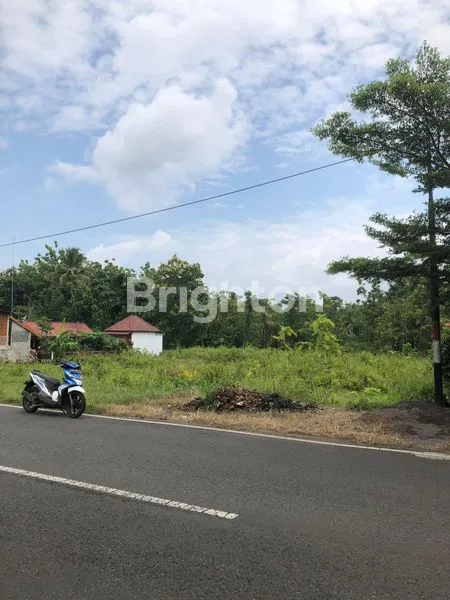 image DIJUAL CEPAT SEBIDANG LAHAN PEKARANGAN SELATAN LANUD GUNUNGKIDUL (2)