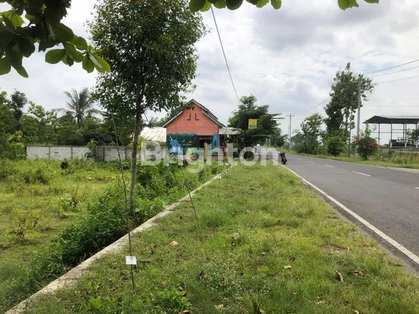 image DIJUAL CEPAT SEBIDANG LAHAN PEKARANGAN SELATAN LANUD GUNUNGKIDUL (1)