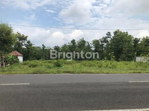 image DIJUAL CEPAT SEBIDANG LAHAN PEKARANGAN SELATAN LANUD GUNUNGKIDUL (3)