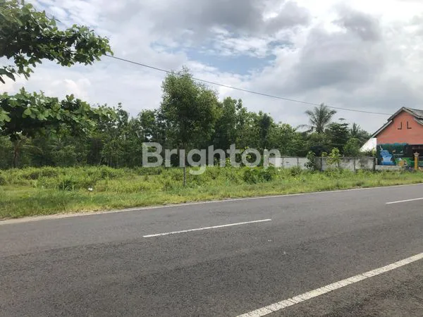 image DIJUAL CEPAT SEBIDANG LAHAN PEKARANGAN SELATAN LANUD GUNUNGKIDUL (4)