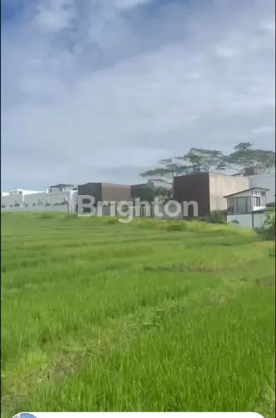 image VILLA TWO SPACIOUS BEDROOM IN CEMAGI BADUNG NEAR TO CANGGU (1)