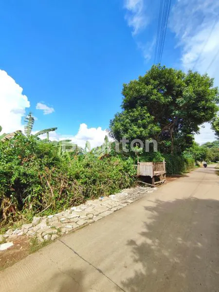 image TANAH 5000M DI SAWANGAN (6)