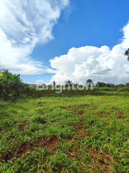 image TANAH 5000M DI SAWANGAN (1)