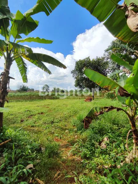 image TANAH 5000M DI SAWANGAN (2)