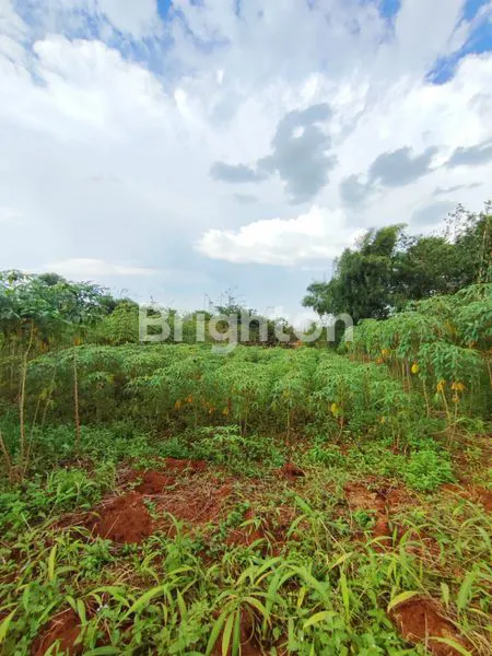 image TANAH 5000M DI SAWANGAN (3)