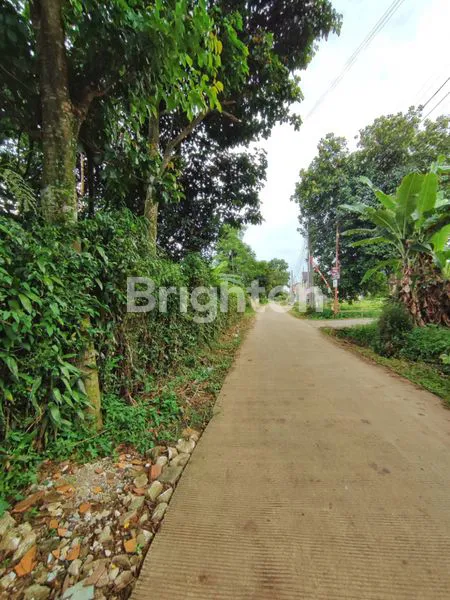 image TANAH 5000M DI SAWANGAN (7)