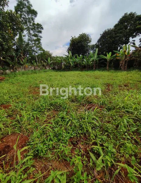 image TANAH 5000M DI SAWANGAN (4)