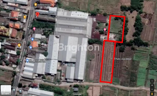 image TANAH DI RAYA DOMAS MENGANTI GRESIK (2)