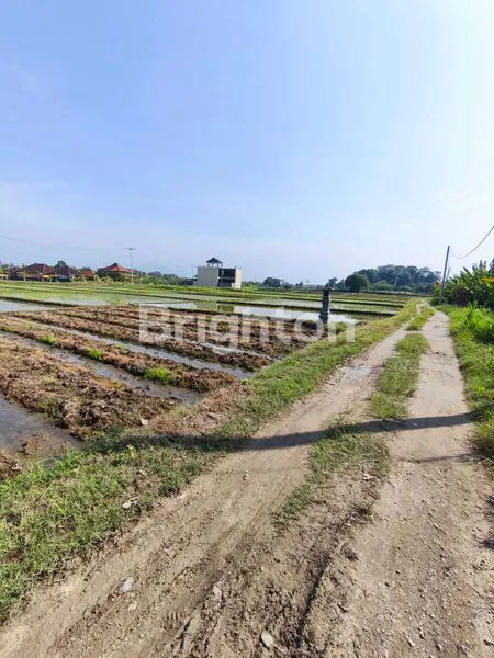 image TANAH KERING 9 ARE ZONA KUNING DI TIBUBIYU, TABANAN (4)