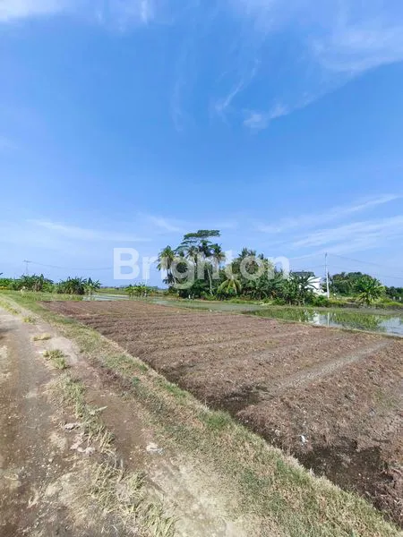 image TANAH KERING 9 ARE ZONA KUNING DI TIBUBIYU, TABANAN (3)