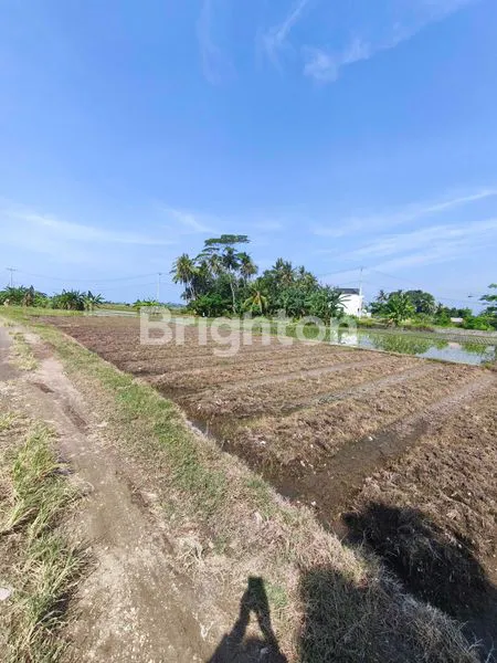 image TANAH KERING 9 ARE ZONA KUNING DI TIBUBIYU, TABANAN (5)