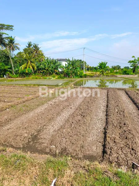 image TANAH KERING 9 ARE ZONA KUNING DI TIBUBIYU, TABANAN (2)