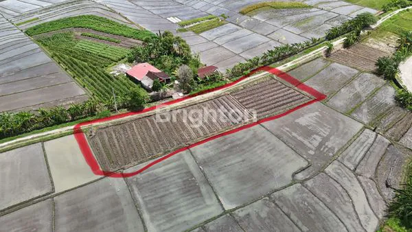 image TANAH KERING 9 ARE ZONA KUNING DI TIBUBIYU, TABANAN (8)