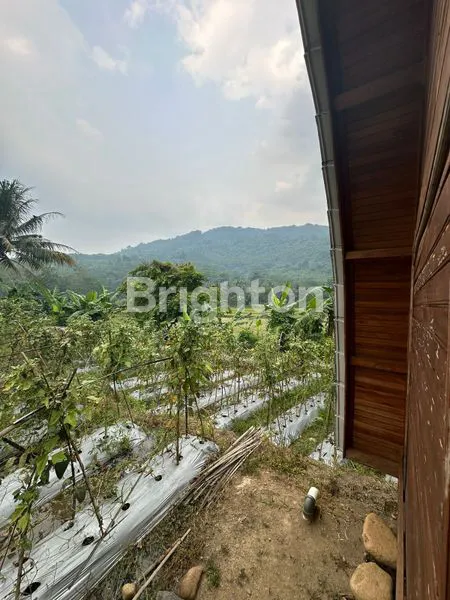 image VILLA HARMONY FARM BOGOR (8)