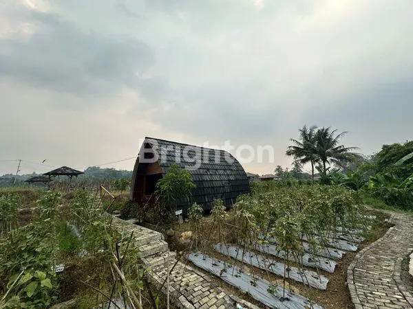 image VILLA HARMONY FARM BOGOR (2)