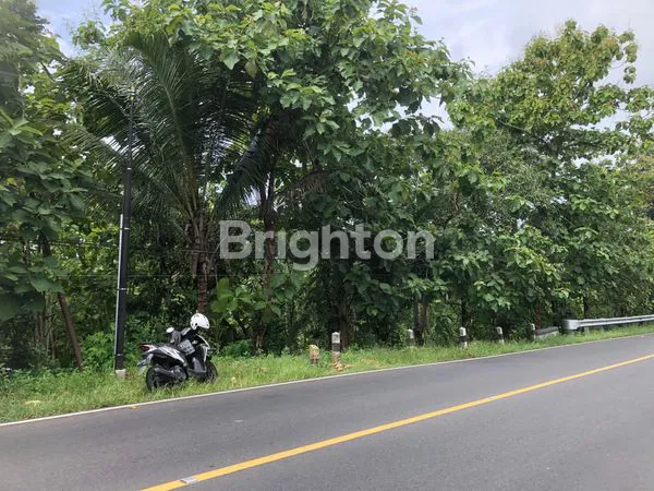 SEBIDANG LAHAN PEKARANGAN DI SAMBIPITU BARAT SPBU