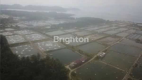 image PANTAI EX TAMBAK UDANG TELUK PANDAN PESAWARAN (3)