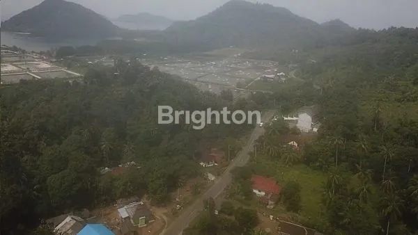 image PANTAI EX TAMBAK UDANG TELUK PANDAN PESAWARAN (5)