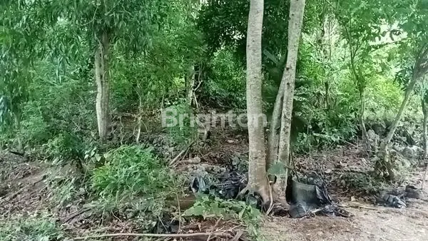 image TANAH DI SEWAKAN JANGKA PANJANG COCOK UNTUK VILLA ATAU  INVESTASI  DI ULUWATU  (2)