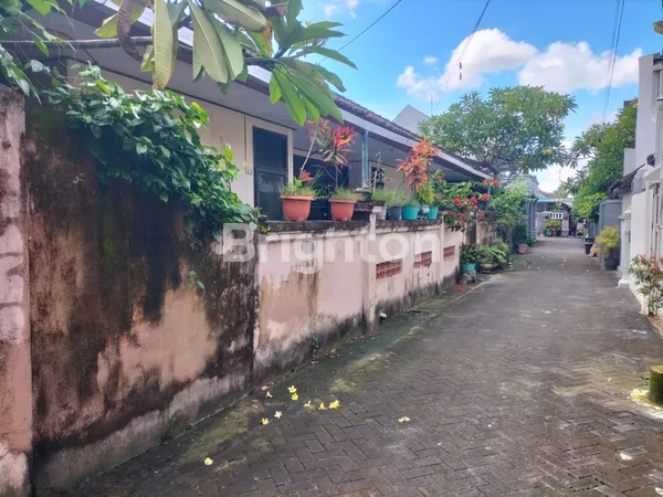 image HUNIAN SIAP HUNI DI DAERAH DENPASAR (5)