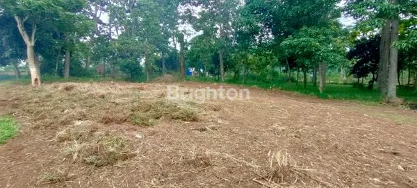 image JUAL TANAH DI BALEENDAH, SHM (1)