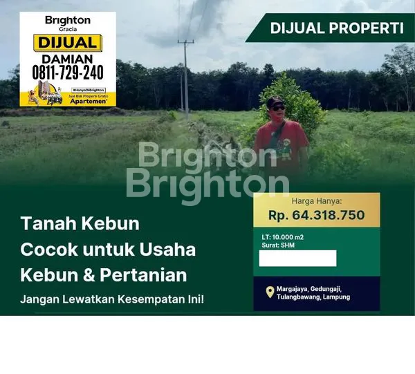 TANAH MARGA JAYA GEDONG AJI TULANG BAWANG LAMPUNG