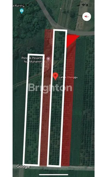 KEBON JERUK MOJOKERTO