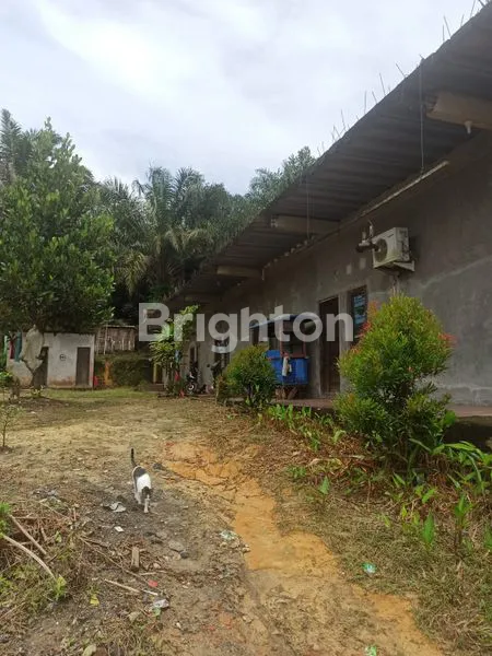 BALIKPAPAN, TANAH PETERNAKAN DI KILO 26 (Z001)