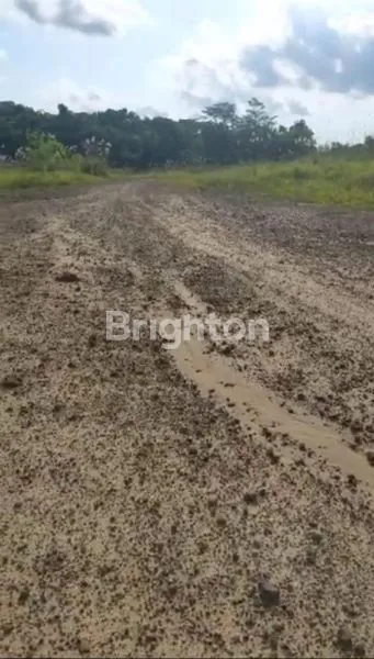 image TANAH LUAS 14 HEKTAR STRATEGIS DI FLAMBOYAN LOA BUAH (2)