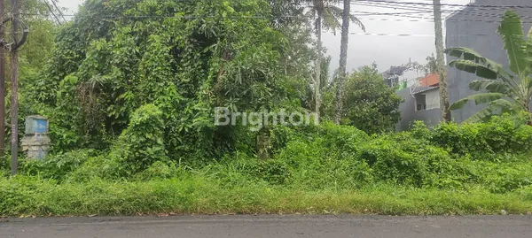 image DIJUAL TANAH KAVLING LUAS DI PANGKUNG KARUNG, KERAMBITAN – TABANAN | 1800 M² (1)