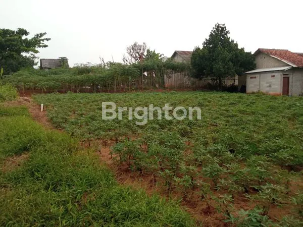 image TANAH DI KEMANG BOGOR (3)