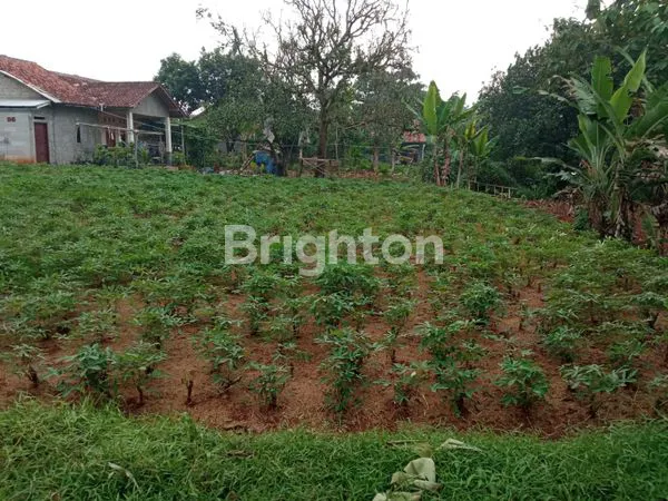 image TANAH DI KEMANG BOGOR (5)