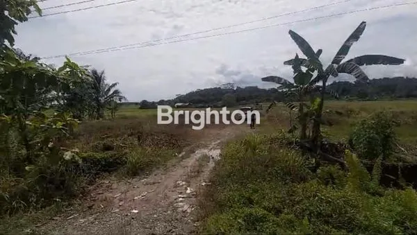 image BALIKPAPAN, TANAH DIJUAL WONOTIRTO SAMBOJA (Z003) (1)