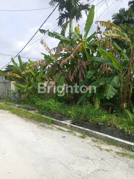 image TANAH LUAS COCOK UNTUK DIBUAT KAVLING TEMPAT TINGGAL (4)