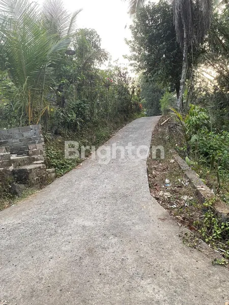 image TANAH TABANAN 1,2 HEKTAR 25 JUTA PER ARE (5)