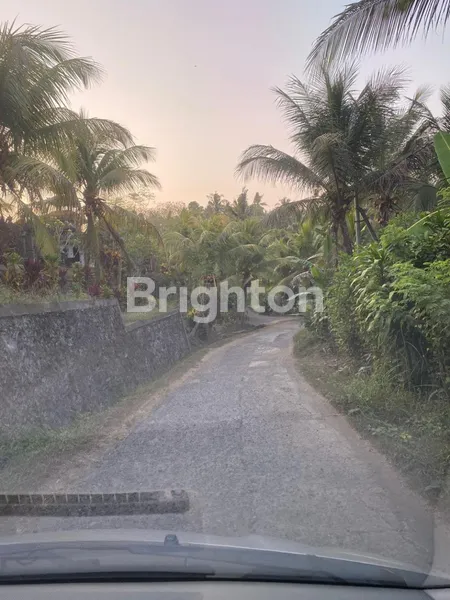 image TANAH TABANAN 1,2 HEKTAR 25 JUTA PER ARE (7)