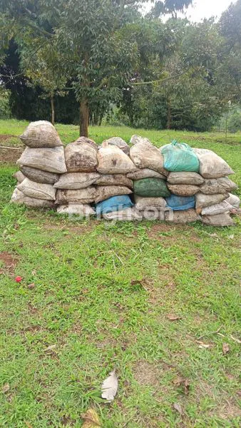 image TANAH KEBUN DURIAN DAN ANEKA BUAH BERIKUT BANGUNAN RUMAH TEGAL WANGI JASINGA  BOGOR (8)