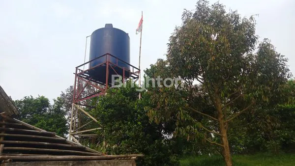 image TANAH KEBUN DURIAN DAN ANEKA BUAH LOKASI TEGAL WANGI JASINGA BOGOR (2)